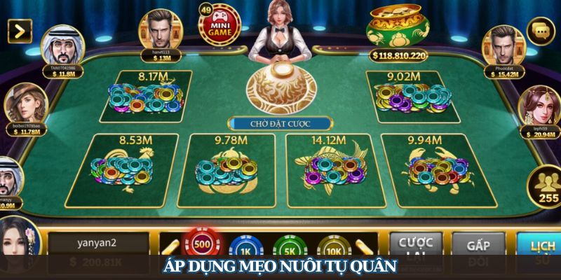 Áp dụng mẹo nuôi tụ quân